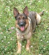 Click to see more of Kahlua
