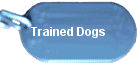 Adult and trained dogs for sale